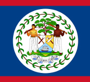 Drawing of the Belizean flag. White round seal on blue background with red top and bottom stripes. The seal contains two men holding tools, a shield, a tree, and greenery.